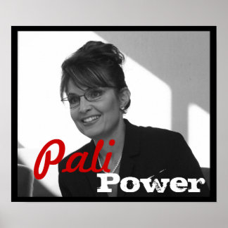 Palingkracht Poster