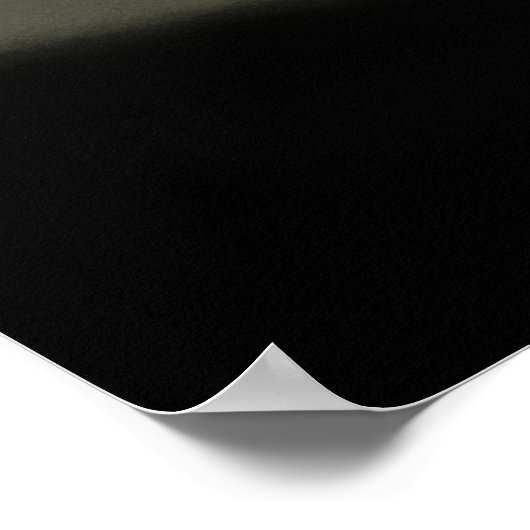 PALITOS old Poster (Hoek)