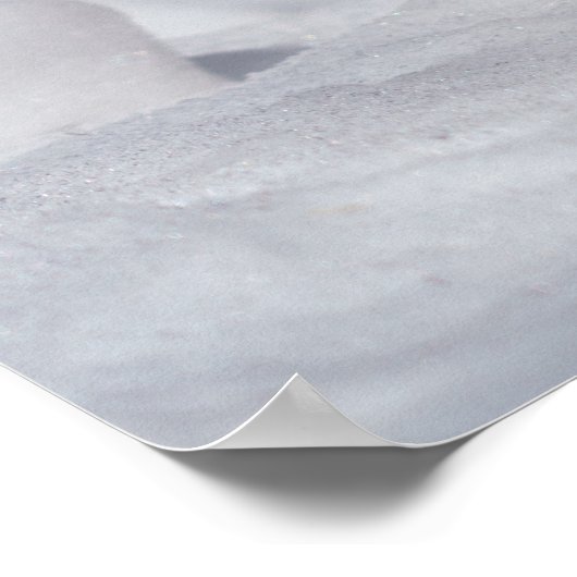 Pallas Cat in de sneeuw Poster (Hoek)