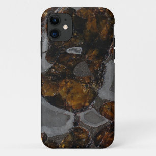 Pallasiet Case-Mate iPhone Case