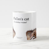 Pallas's kat, pruimende wilde kat grote koffiekop (Voorkant)