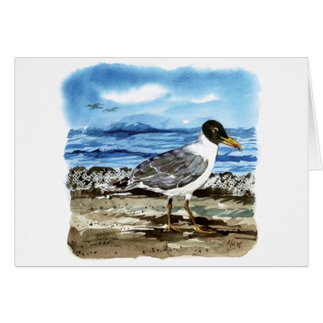 Pallas's meeuw (Voorkant Horizontaal)