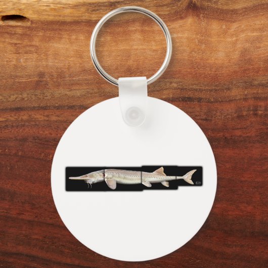 Pallid Sturgeon - Scaphirhynchus albus Sleutelhanger (Voorkant)