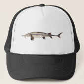 Pallid Sturgeon - Scaphirhynchus albus Trucker Pet (Voorkant)