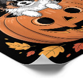 Pallon Costume On Pumpkin Halloween Pallon  Poster (Hoek)