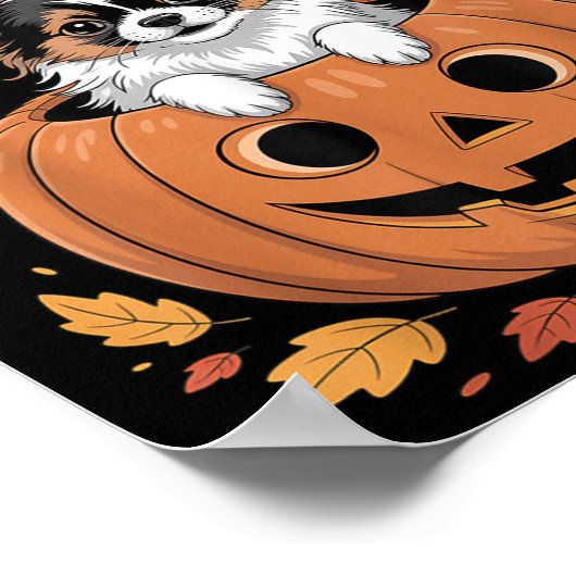 Pallon Costume On Pumpkin Halloween Pallon  Poster (Hoek)