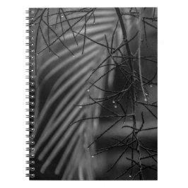 Palm and rain Spiral Photo Notebook Notitieboek