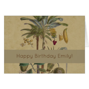 Palm Antiek tropische vruchten botanische kunst