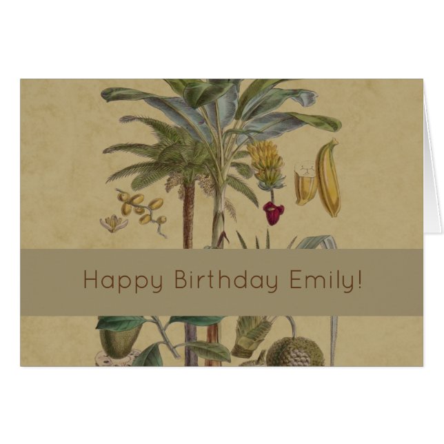 Palm Antiek tropische vruchten botanische kunst (Voorkant Horizontaal)