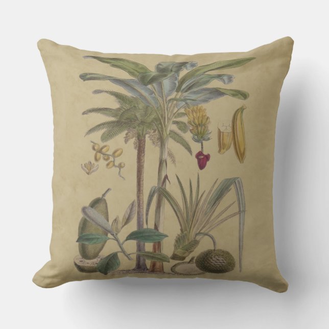 Palm Antiek tropische vruchten botanische kunst Buitenkussen (Voorkant)