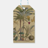 Palm Antiek tropische vruchten botanische kunst Cadeaulabel (Voorkant)