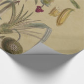 Palm Antiek tropische vruchten botanische kunst Cadeaupapier (Hoek)
