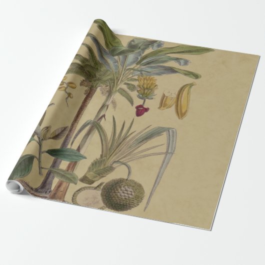 Palm Antiek tropische vruchten botanische kunst Cadeaupapier (Uitgerold)