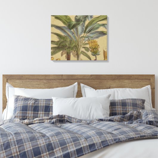 Palm Antiek tropische vruchten botanische kunst Canvas Afdruk (Insitu (Slaapkamer))