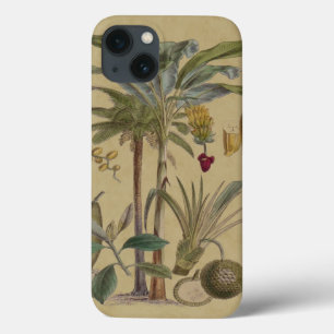 Palm Antiek tropische vruchten botanische kunst Case-Mate iPhone Case
