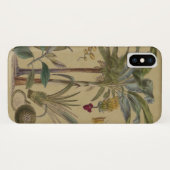 Palm Antiek tropische vruchten botanische kunst Case-Mate iPhone Case (Achterkant (horizontaal))