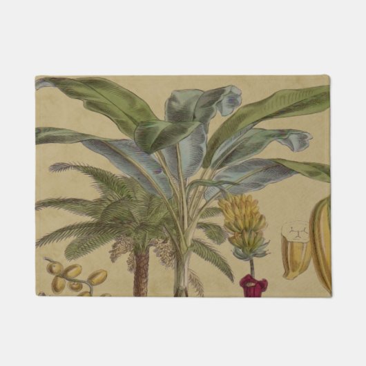 Palm Antiek tropische vruchten botanische kunst Deurmat (Voorkant)