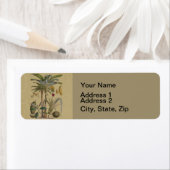 Palm Antiek tropische vruchten botanische kunst Etiket (Insitu)