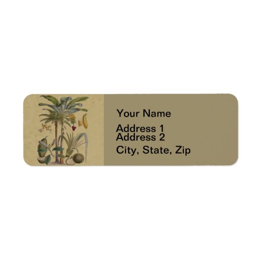 Palm Antiek tropische vruchten botanische kunst Etiket (Voorkant)