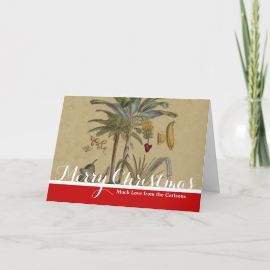 Palm Antiek tropische vruchten botanische kunst Feestdagen Kaart (Voorkant)