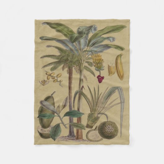 Palm Antiek tropische vruchten botanische kunst Fleece Deken (Voorkant)