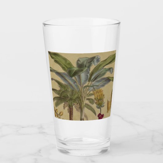 Palm Antiek tropische vruchten botanische kunst Glas (Voorkant)