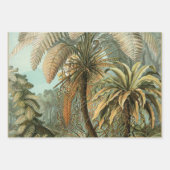 Palm Antiek tropische vruchten botanische kunst Inpakpapier Vel (Voorkant 2)