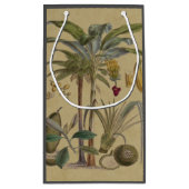 Palm Antiek tropische vruchten botanische kunst Klein Cadeauzakje (Achterkant)