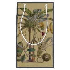 Palm Antiek tropische vruchten botanische kunst Klein Cadeauzakje