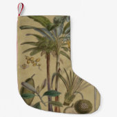 Palm Antiek tropische vruchten botanische kunst Kleine Kerstsok (Voorkant)