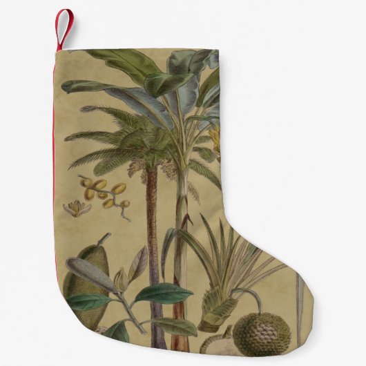 Palm Antiek tropische vruchten botanische kunst Kleine Kerstsok (Voorkant)