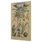 Palm Antiek tropische vruchten botanische kunst Klembord (Links)
