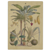 Palm Antiek tropische vruchten botanische kunst Klembord (Achterkant)