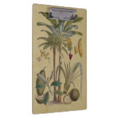 Palm Antiek tropische vruchten botanische kunst Klembord (Rechts)