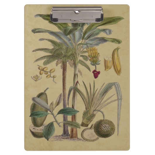 Palm Antiek tropische vruchten botanische kunst Klembord (Voorkant)