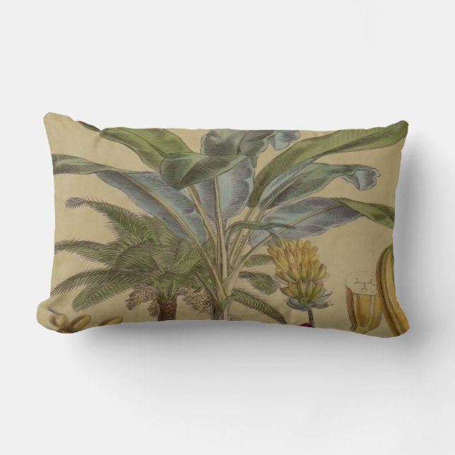 Palm Antiek tropische vruchten botanische kunst Kussen (Voorkant)