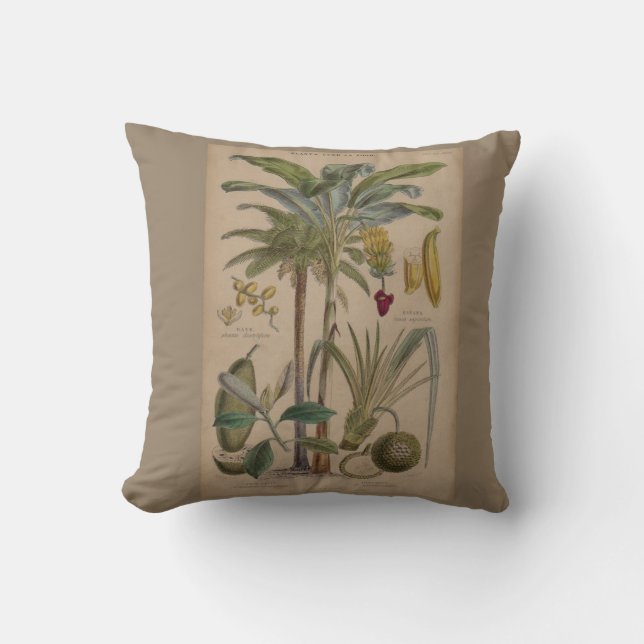 Palm Antiek tropische vruchten botanische kunst Kussen (Voorkant)