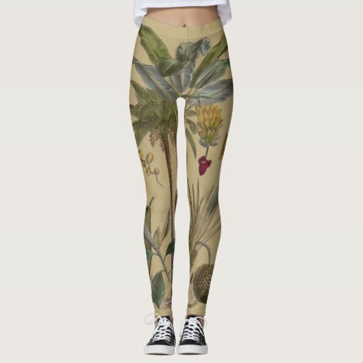 Palm Antiek tropische vruchten botanische kunst Leggings (Voorkant)