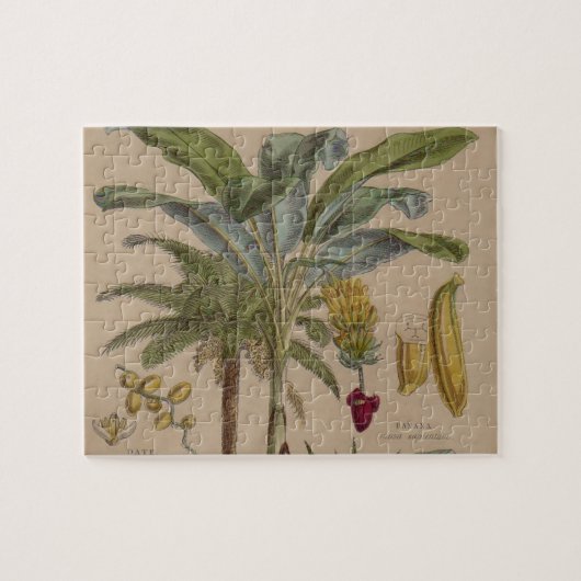 Palm Antiek tropische vruchten botanische kunst Legpuzzel (Horizontaal)