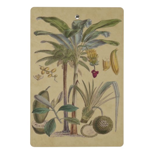 Palm Antiek tropische vruchten botanische kunst Mini Klembord (Achterkant)