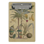Palm Antiek tropische vruchten botanische kunst Mini Klembord (Voorkant)