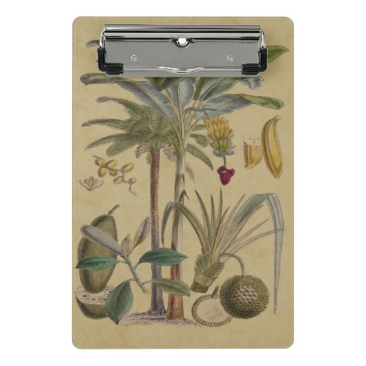 Palm Antiek tropische vruchten botanische kunst Mini Klembord (Voorkant)