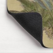 Palm Antiek tropische vruchten botanische kunst Muismat (Hoek)