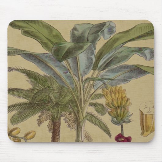 Palm Antiek tropische vruchten botanische kunst Muismat (Voorkant)