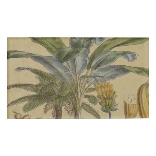 Palm Antiek tropische vruchten botanische kunst Naambadge (Voorkant)