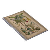 Palm Antiek tropische vruchten botanische kunst Notitieboek (Rechterzijde)