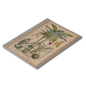 Palm Antiek tropische vruchten botanische kunst Notitieboek (Linkerzijde)