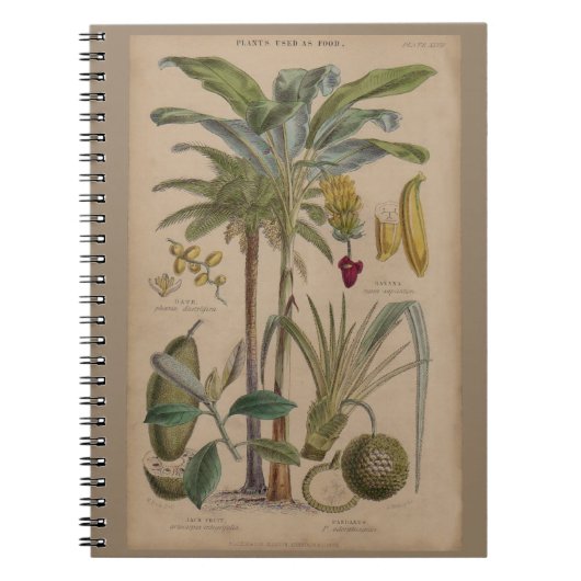 Palm Antiek tropische vruchten botanische kunst Notitieboek (Voorkant)
