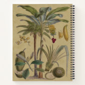 Palm Antiek tropische vruchten botanische kunst Notitieboek (Achterkant)