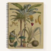 Palm Antiek tropische vruchten botanische kunst Notitieboek (Voorkant)